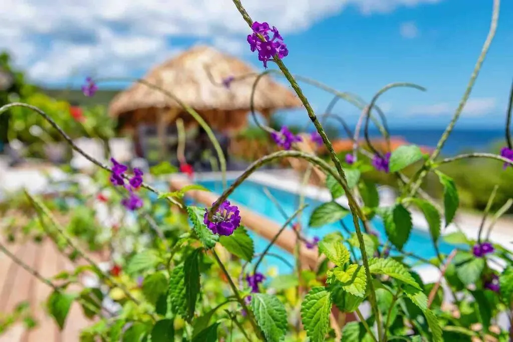 Villa Vista Valentin Willemstad Curaçao